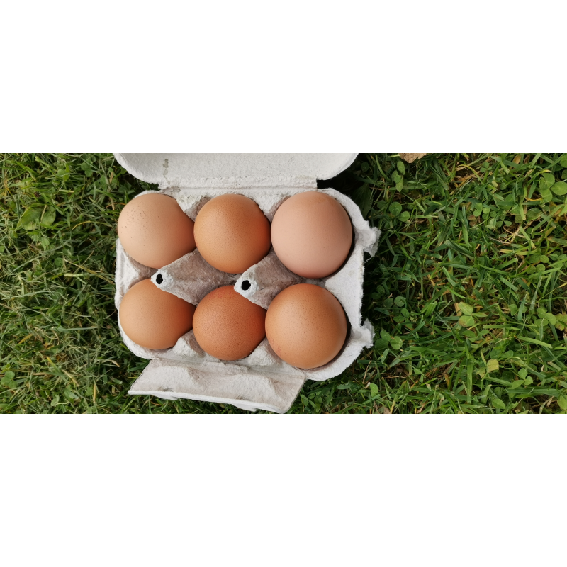 Boite de 6 gros œufs Frais - Ferme de la Houlette