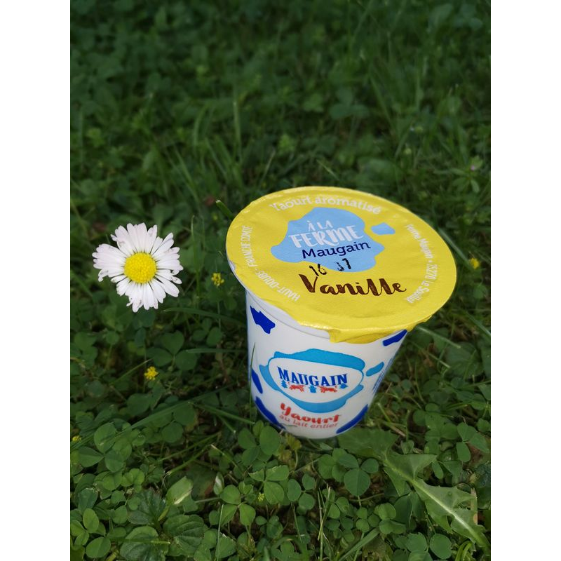 Yaourt Danone 1919 arôme naturel de vanille